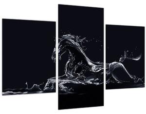 Tablou - Cal și apă (90x60 cm)