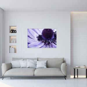 Tablou - Floare mov (90x60 cm)