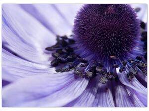 Tablou - Floare mov (70x50 cm)