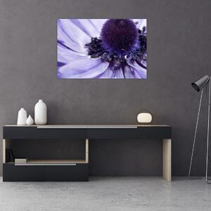 Tablou - Floare mov (90x60 cm)