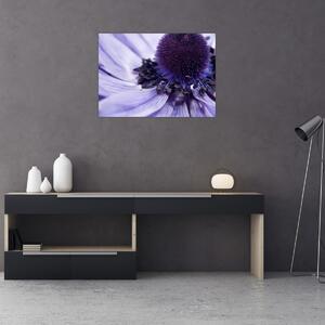 Tablou - Floare mov (70x50 cm)