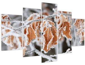 Tablou - Frunze înghețate (150x105 cm)