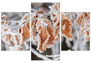 Tablou - Frunze înghețate (90x60 cm)