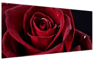 Tablou - Trandafir roșu (120x50 cm)