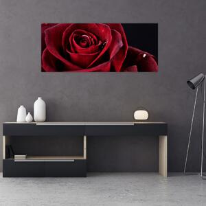 Tablou - Trandafir roșu (120x50 cm)