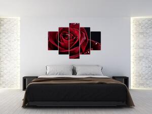Tablou - Trandafir roșu (150x105 cm)