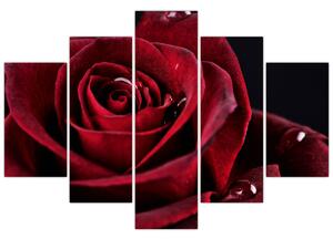 Tablou - Trandafir roșu (150x105 cm)