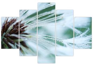 Tablou - Detaliu floare (150x105 cm)
