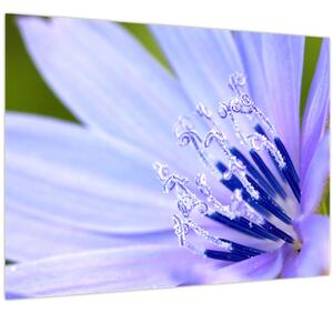 Tablou - Floare (70x50 cm)