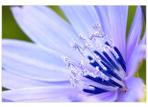 Tablou - Floare (90x60 cm)