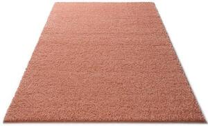 Covor Shaggy 30 roz 60/90 cm