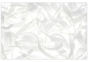 Tablou - Petale de frunze (90x60 cm)