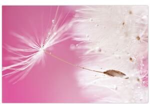 Tablou - Floare macro (90x60 cm)