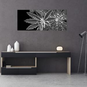 Tablou - Frunze cu picături (120x50 cm)