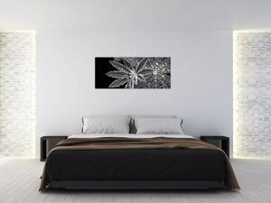 Tablou - Frunze cu picături (120x50 cm)