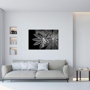 Tablou - Frunze cu picături (90x60 cm)
