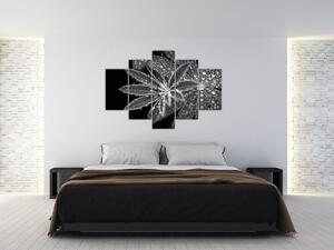 Tablou - Frunze cu picături (150x105 cm)