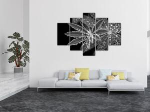 Tablou - Frunze cu picături (150x105 cm)