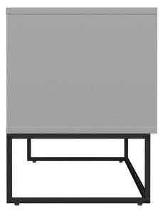 Masă TV cu picioare metalice și 2 uși Tenzo Lipp, lățime 118 cm, alb
