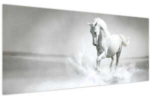 Tablou - Cal alb (120x50 cm)