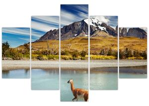 Tablou - Parcul Național Torres del Paine (150x105 cm)