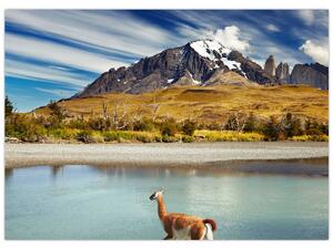 Tablou - Parcul Național Torres del Paine (70x50 cm)