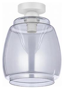 BRILAGI - Plafonieră LED R GLASS 1xE27/60W/230V diam. 26 cm alb/gri fumuriu