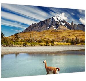 Tablou - Parcul Național Torres del Paine (70x50 cm)