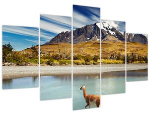 Tablou - Parcul Național Torres del Paine (150x105 cm)