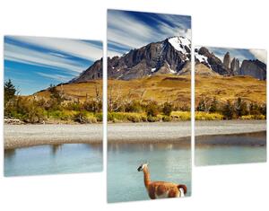 Tablou - Parcul Național Torres del Paine (90x60 cm)