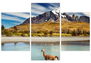 Tablou - Parcul Național Torres del Paine (90x60 cm)