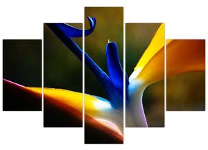 Tablou - Floare exotică (150x105 cm)