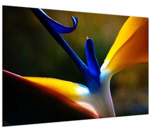 Tablou - Floare exotică (90x60 cm)