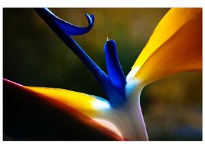 Tablou - Floare exotică (90x60 cm)