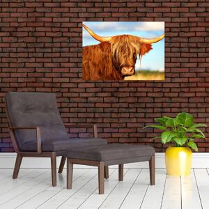 Tablou - Vacă scoțiană (70x50 cm)