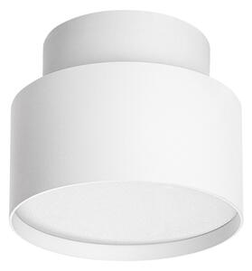 Rabalux 71324 - Plafonieră OVIDIA LED/16W/230V 3000K albă