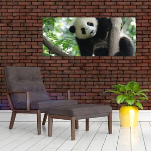 Tablou - Panda in copac (120x50 cm)