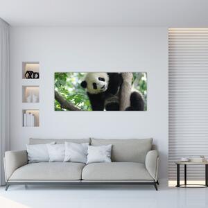 Tablou - Panda in copac (120x50 cm)