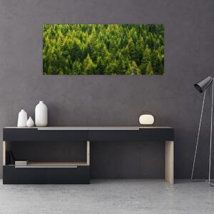 Tablou - Pădure deasă (120x50 cm)
