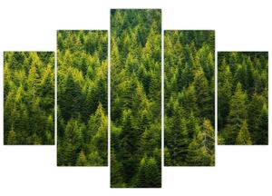 Tablou - Pădure deasă (150x105 cm)