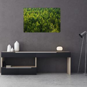 Tablou - Pădure deasă (90x60 cm)