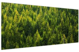Tablou - Pădure deasă (120x50 cm)