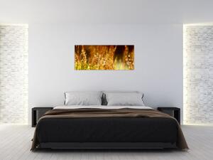 Tablou - Detaliu rouă (120x50 cm)