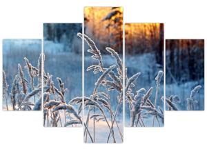 Tablou - Pajiște de iarnă (150x105 cm)