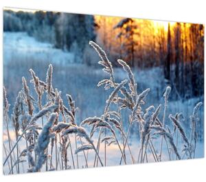 Tablou - Pajiște de iarnă (90x60 cm)