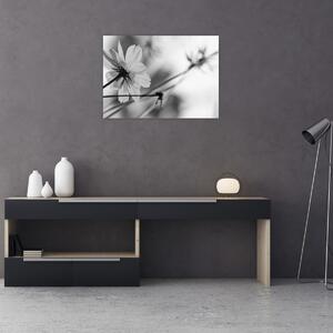 Tablou - Flori alb-negru (70x50 cm)