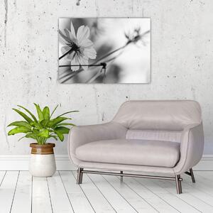 Tablou - Flori alb-negru (70x50 cm)