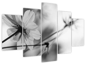 Tablou - Flori alb-negru (150x105 cm)
