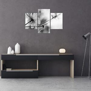 Tablou - Flori alb-negru (90x60 cm)