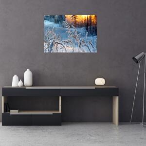 Tablou - Pajiște de iarnă (70x50 cm)